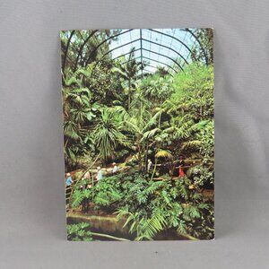 Vintage Postcard - Tropical Rain Forest San Diego Zoo - Unbranded